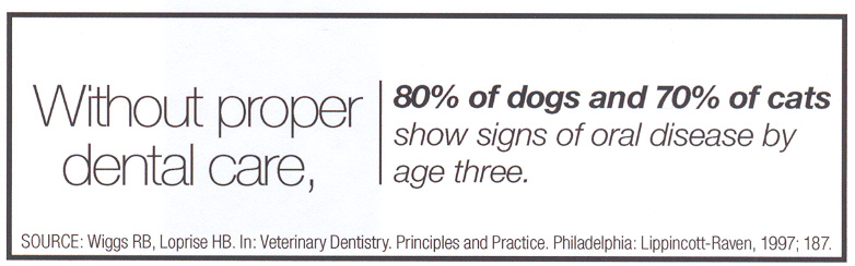 Dental Logo